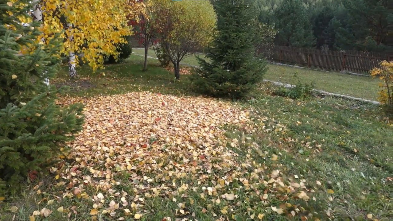https://nizhniy-novgorod.mslandshaft.ru/storage/app/uploads/public/642/ac5/f22/642ac5f2293e2935715739.jpg